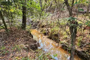 0 Eland Trail, LaRue, TX 75770 - Photo 23