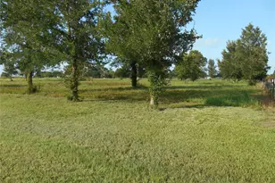 0 Meadow Wood Ln, Sealy, TX 77474 - Photo 1