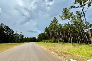 10790 Ruger Rd, Willis, TX 77378 - Photo 13