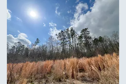 0 County Road 37, Jasper, TX 75951 - Photo 25