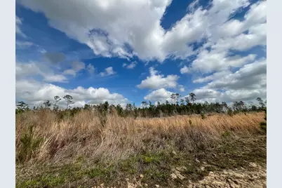 0 County Road 37, Jasper, TX 75951 - Photo 13