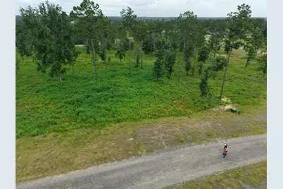 Lot 82 Grace Circle, Livingston, TX 77351 - Photo 3