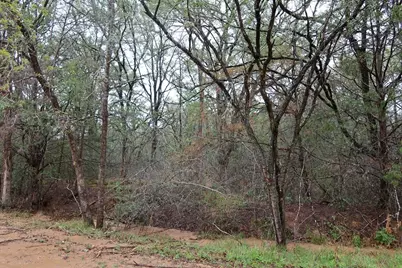 1034 Kawanui Drive, Bastrop, TX 78602 - Photo 9