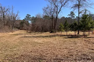 215 Garden West Rd, Conroe, TX 77304 - Photo 11