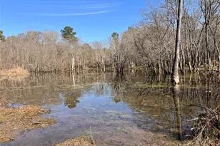 215 Garden West Rd, Conroe, TX 77304 - Photo 9