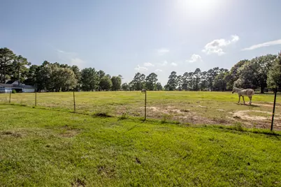 Tbd N North Fm 1486 Road, Montgomery, TX 77356 - Photo 9