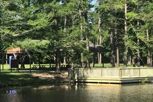 732 Washita Fls Ln, Conroe, TX 77304 - Photo 15