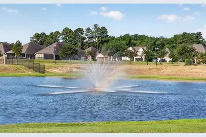 24638 Carleton Lake Lane, Tomball, TX 77375 - Photo 31