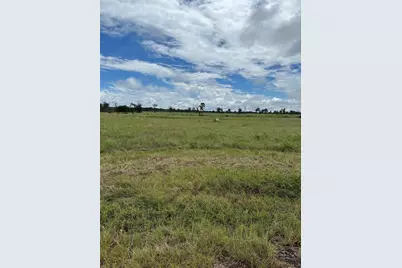 Tbd Private Road 2316 Tr 47 Tr48, Centerville, TX 75833 - Photo 3