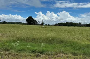 Tbd Private Road 2316 Tr 47 Tr48, Centerville, TX 75833 - Photo 1