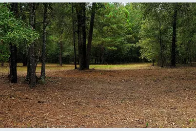 Lot 4 Hidden Cove Road, Point Blank, TX 77364 - Photo 1