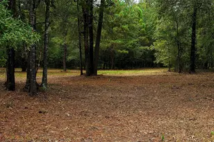 Lot 4 Hidden Cove Rd, Point Blank, TX 77364 - Photo 1