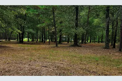 Lot 4 Hidden Cove Road, Point Blank, TX 77364 - Photo 3