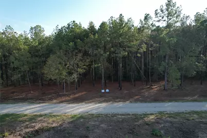 350 Williamson Way, Lovelady, TX 75851 - Photo 11