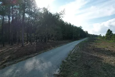 350 Williamson Way, Lovelady, TX 75851 - Photo 13