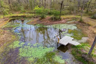 280 County Rd 443, Dayton, TX 77535 - Photo 27