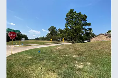 20106 Atascocita Shores Drive, Atascocita, TX 77346 - Photo 3