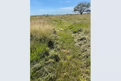 17002 Brumbelow Road, Needville, TX 77461 - Photo 5