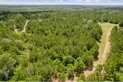 Tbd Lot 1 County Road 302, Plantersville, TX 77363 - Photo 41