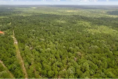 Tbd Lot 1 County Road 302, Plantersville, TX 77363 - Photo 19