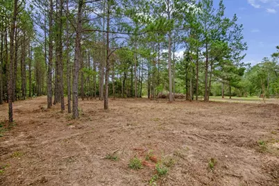 Tbd Lot 1 County Road 302, Plantersville, TX 77363 - Photo 7
