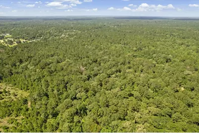 Tbd Lot 1 County Road 302, Plantersville, TX 77363 - Photo 25