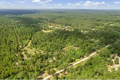 Tbd Lot 1 County Road 302, Plantersville, TX 77363 - Photo 15