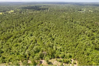 Tbd Lot 1 County Road 302, Plantersville, TX 77363 - Photo 27