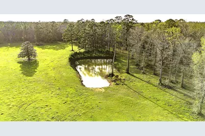 5146 Richardson Rd E, Livingston, TX 77351 - Photo 49