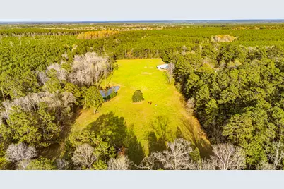 5146 Richardson Rd E, Livingston, TX 77351 - Photo 43