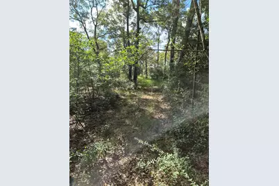 18471 Country Place Drive, Conroe, TX 77302 - Photo 11