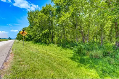 0 County Road 133 Road, Alvin, TX 77511 - Photo 5