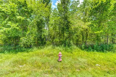 0 County Road 133 Road, Alvin, TX 77511 - Photo 15
