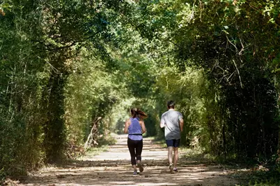 21215 Teal Lovegrass Lane, Cypress, TX 77433 - Photo 37