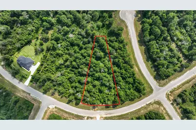 226 Iron Horse Road, New Waverly, TX 77358 - Photo 9