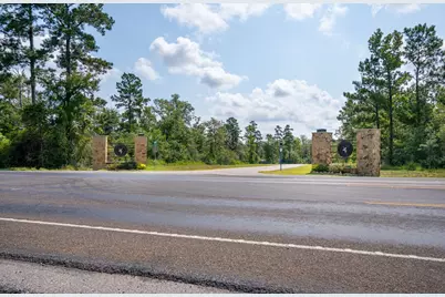 226 Iron Horse Road, New Waverly, TX 77358 - Photo 3