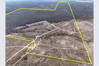 1 Off Fm 247, Huntsville, TX 77340 - Photo 3