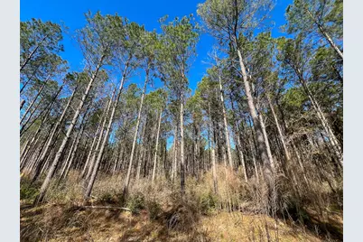 1 Off Fm 247, Huntsville, TX 77340 - Photo 13