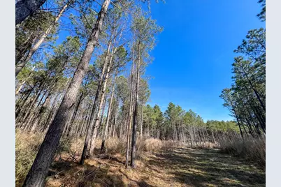 1 Off Fm 247, Huntsville, TX 77340 - Photo 17