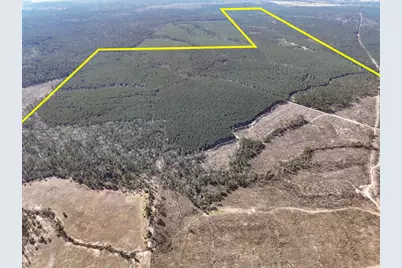 1 Off Fm 247, Huntsville, TX 77340 - Photo 1