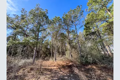 1 Off Fm 247, Huntsville, TX 77340 - Photo 9