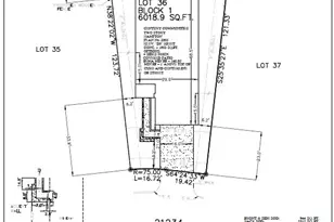 21234 Gulf Menhaden Ln, Cypress, TX 77433 - Photo 21