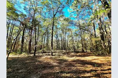 28046 Crossway Oaks, Magnolia, TX 77355 - Photo 9