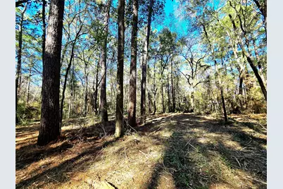 28046 Crossway Oaks, Magnolia, TX 77355 - Photo 11