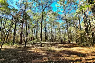 28046 Crossway Oaks, Magnolia, TX 77355 - Photo 9