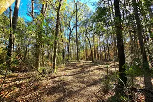 28046 Crossway Oaks, Magnolia, TX 77355 - Photo 13