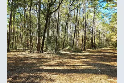 28046 Crossway Oaks, Magnolia, TX 77355 - Photo 7