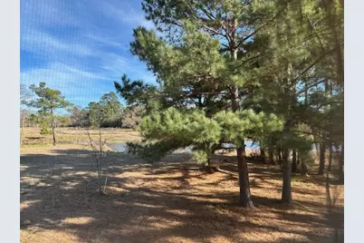 6380 Greenmeadow Drive, Richards, TX 77873 - Photo 19