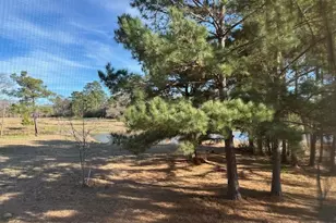 6380 Green Meadow Dr, Richards, TX 77873 - Photo 19