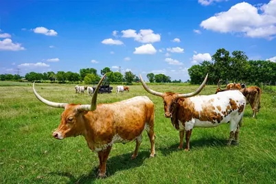 8295 County Rd 179, Richards, TX 77873 - Photo 37